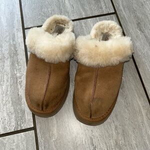 Ugg Slippers in Chestnut